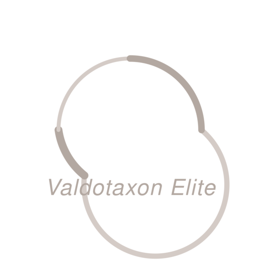 Логотип Valdotaxon Elite